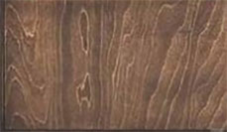 Входная дверь Regidoors ГОЛИАФ ТЕРМО Florence 62001 "Серена керамик"