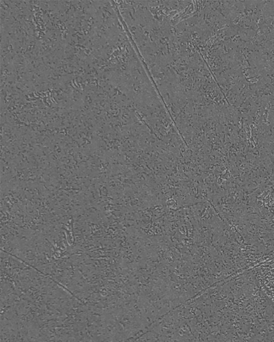 Входная дверь Labirint CARBON с тонированным зеркалом Максимум